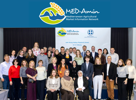 12th MED-Amin Plenary Meeting Held in Thessaloniki
