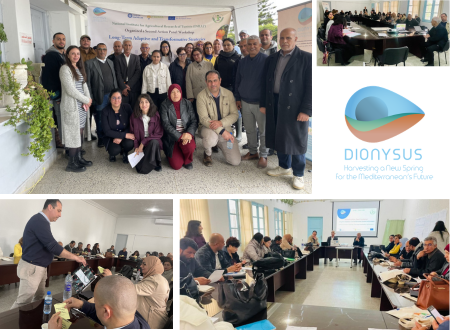 DIONYSUS PROJECT: Looking Back at the Second DIONYSUS Action Panel Workshop