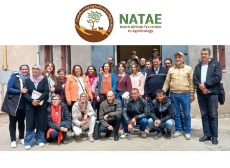 NATAE : Living Lab de Tizi Ouzou : une réévaluation participative réussie des pratiques agroécologiques