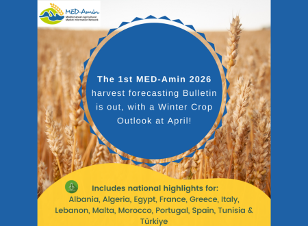 Discover the first MED-Amin bulletin of 2026