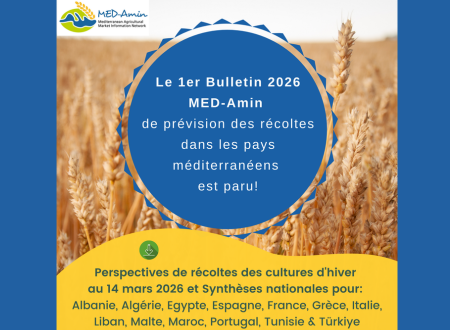 Découvrez le premier bulletin de 2026 de MED-Amin