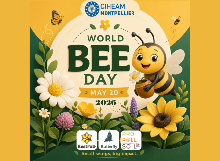 World Bee Day 2026: Join Us on 20 May CIHEAM Montpellier