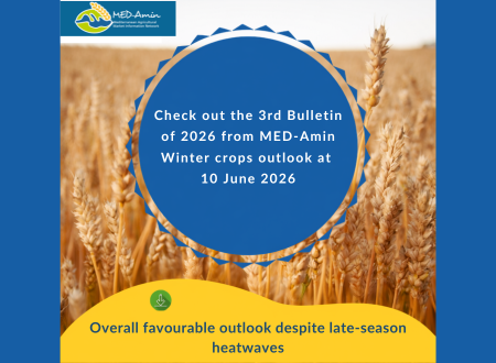 Check out the third MED-Amin bulletin of 2026