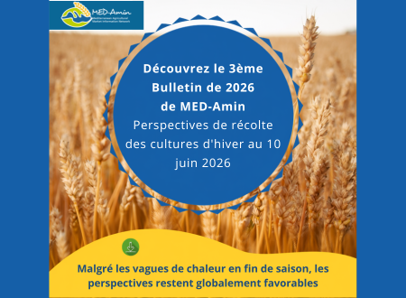 Découvrez le troisième bulletin de 2026 de MED-Amin