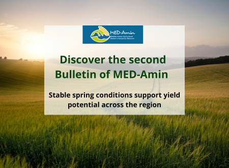 Discover the second MED-Amin bulletin of 2026