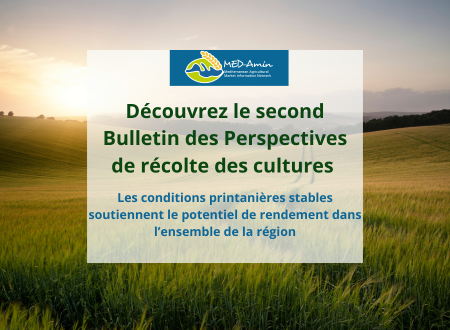 Découvrez le second bulletin de 2026 de MED-Amin
