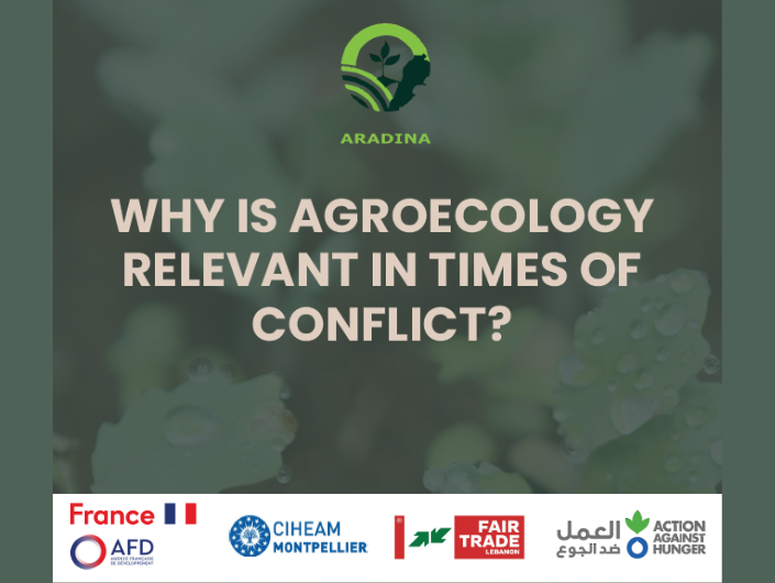 ARADINA project: WHY IS AGROECOLOGY RELEVANT IN TIMES OF CONFLICT?